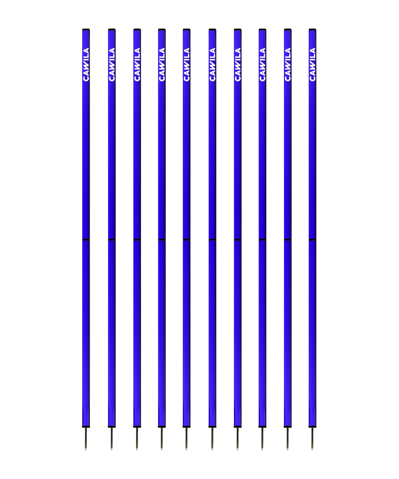 Cawila Academy Slalomstangen 10er Set (33mmx170cm) Blau
