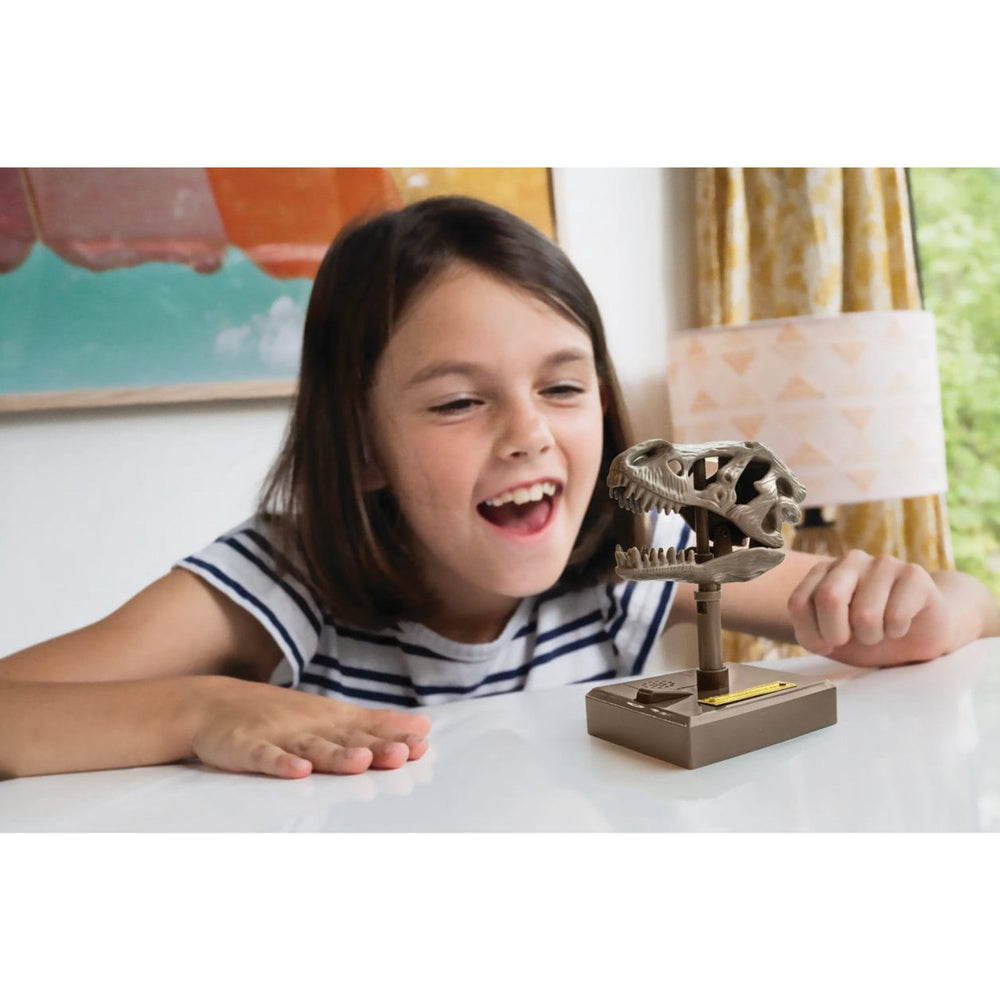 Køb 4M Kidzrobotix / Roaring T-Rex Skull