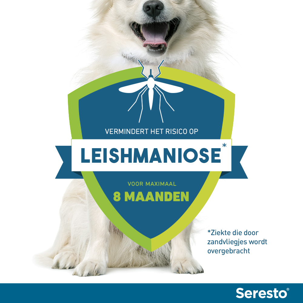 Seresto Hond