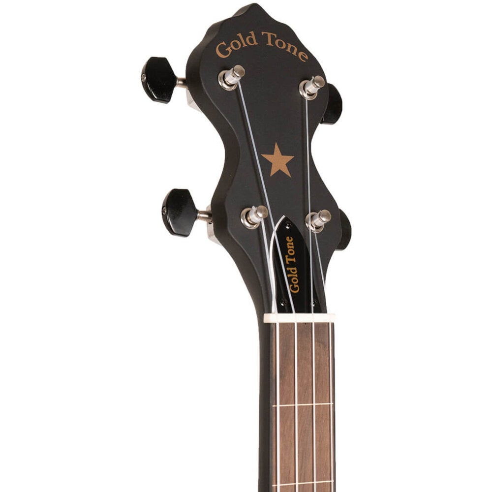 Gold Tone AC-1FL 5-snarige fretloze open back banjo met gigbag