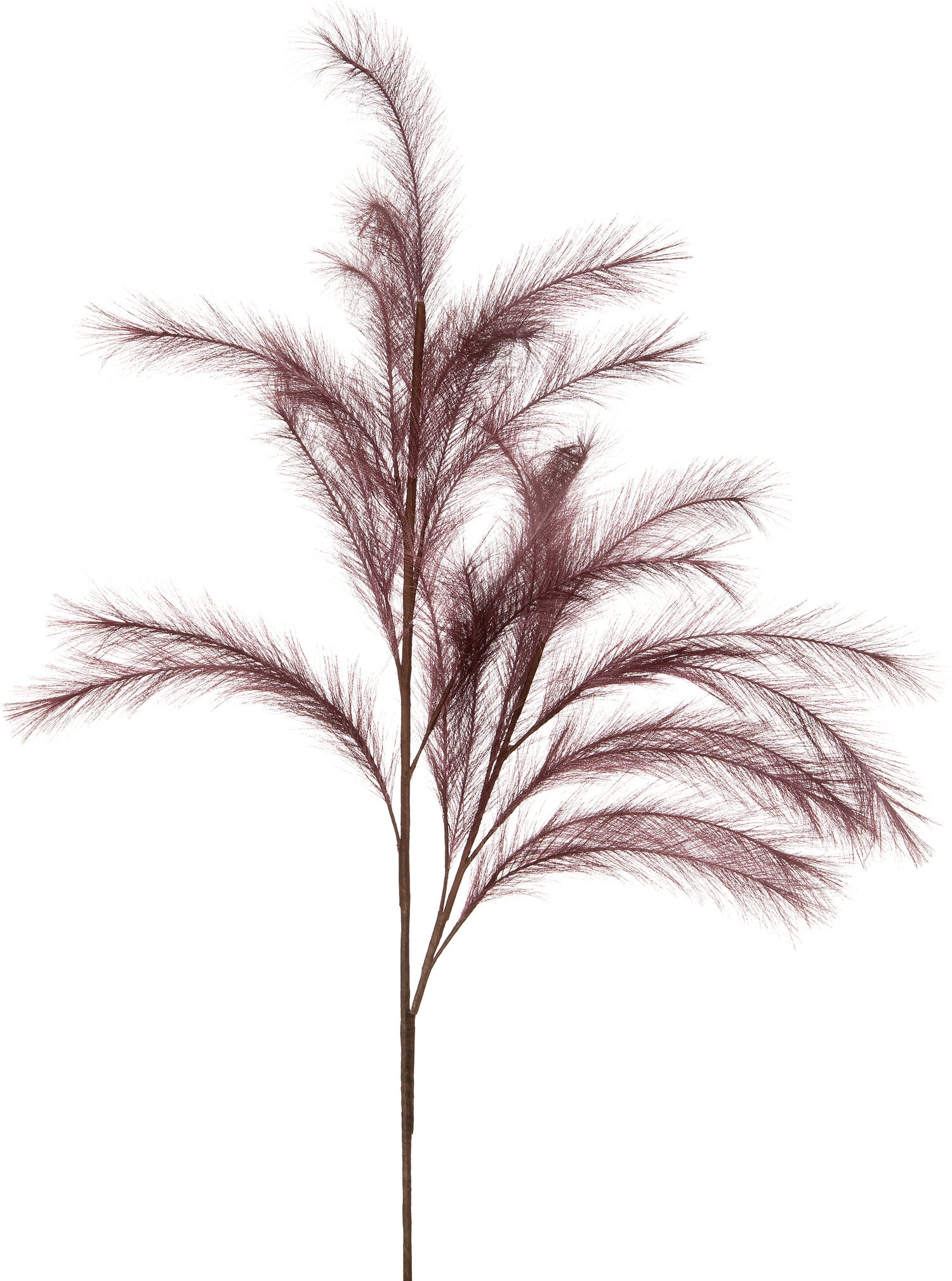 Intratuin kunsttak met pluimen bordeaux 112 cm