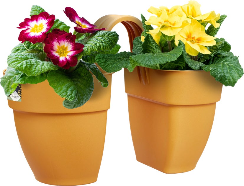 Elho balkonbak Vibia Campana Flower Twin geel 20,5 x 38,4 x 26,5 cm
