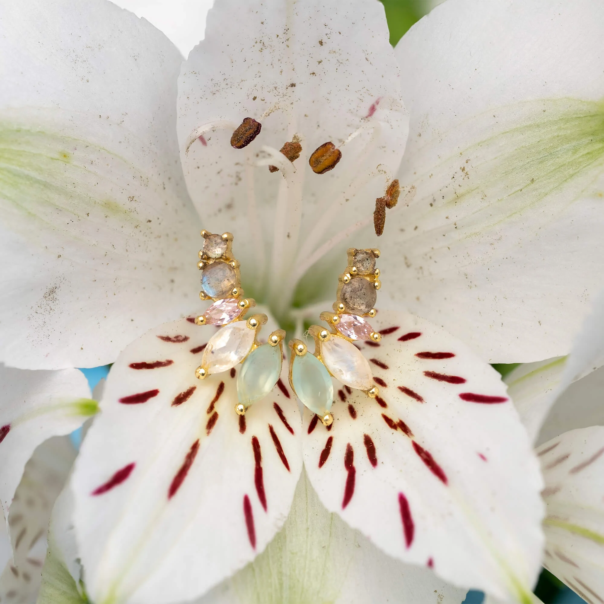 SIVA - Boucles d'oreilles grimpeuses | Rose