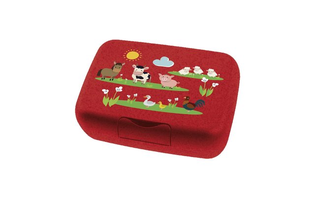 Koziol Candy L Box Lunchbox / Brotdose mit Trennschale