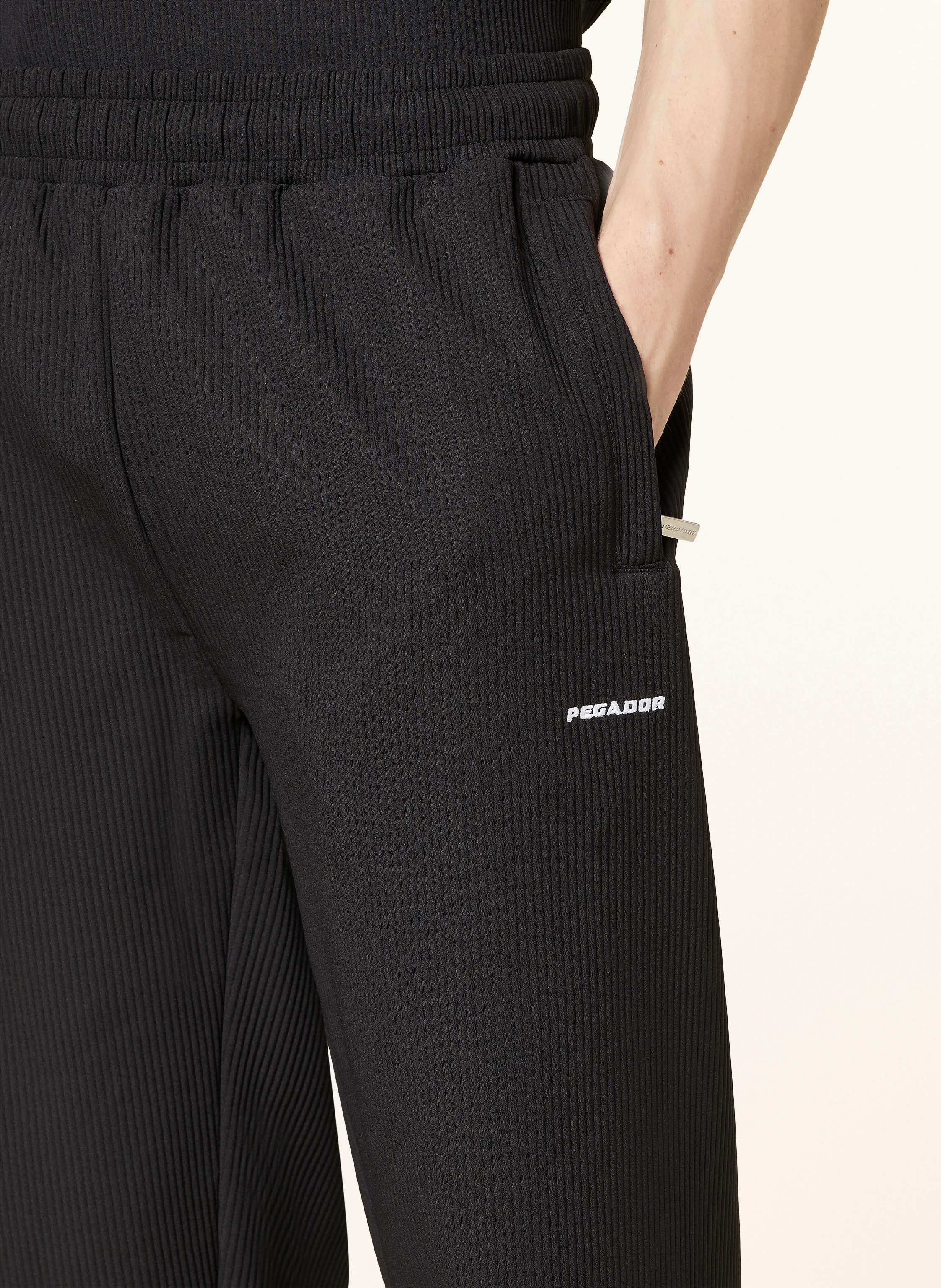 PEGADOR Hose TROY im Jogging-Stil Regular Fit