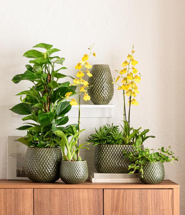 Dehner Keramik-Vase Tamir, bauchig, ca.