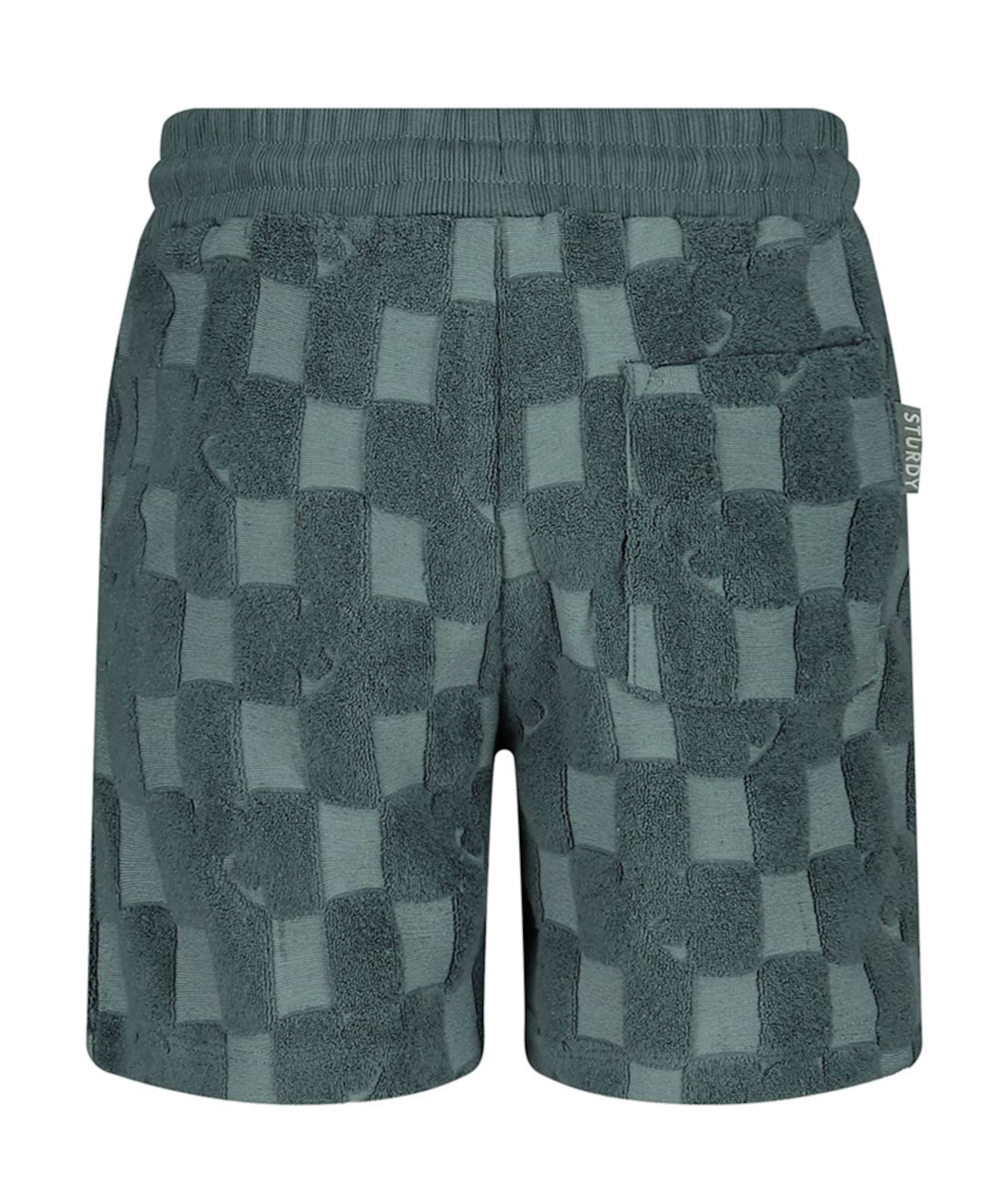Sturdy Shorts ruit badstof jongens korte broek blauw