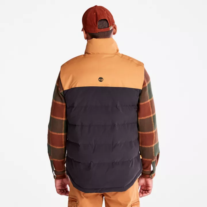 Doudoune sans manches Welch Mountain pour homme en noir