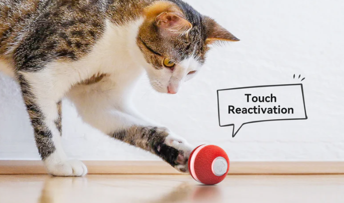 (Ø42mm) M1 Interaktiver Katzen Ball Haustier Spielzeug mit LED Beleuchtung (C0419) - Grau
