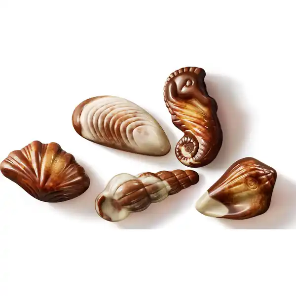 Meeresfrüchte Original Geschenkbox