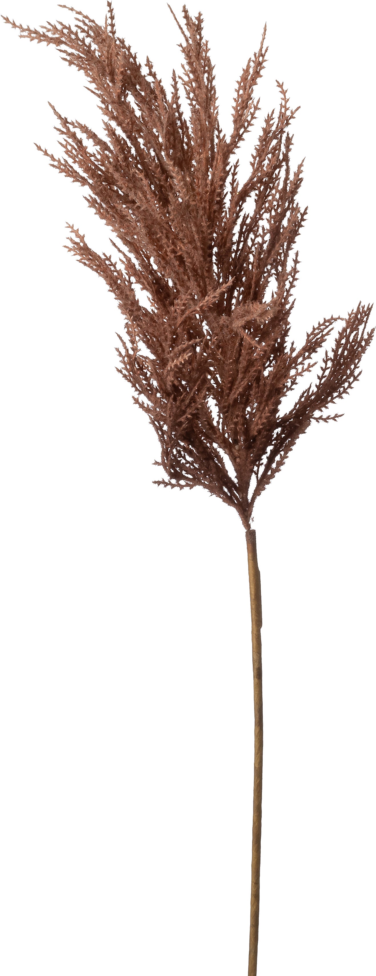 Intratuin kunsttak met pluim bruin 95 cm