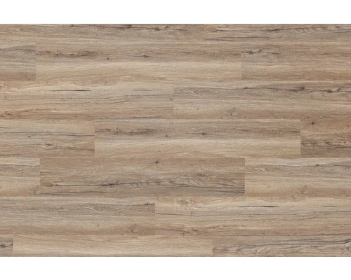 Vinyl Rigid 4.0 Eiken Kinesawa