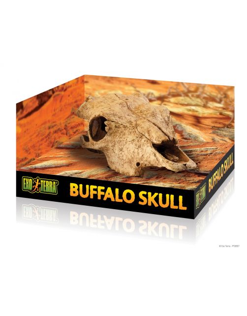 Exo Terra Schuilplaats Buffalo Skull - Ornamenten - 23x11x23 cm