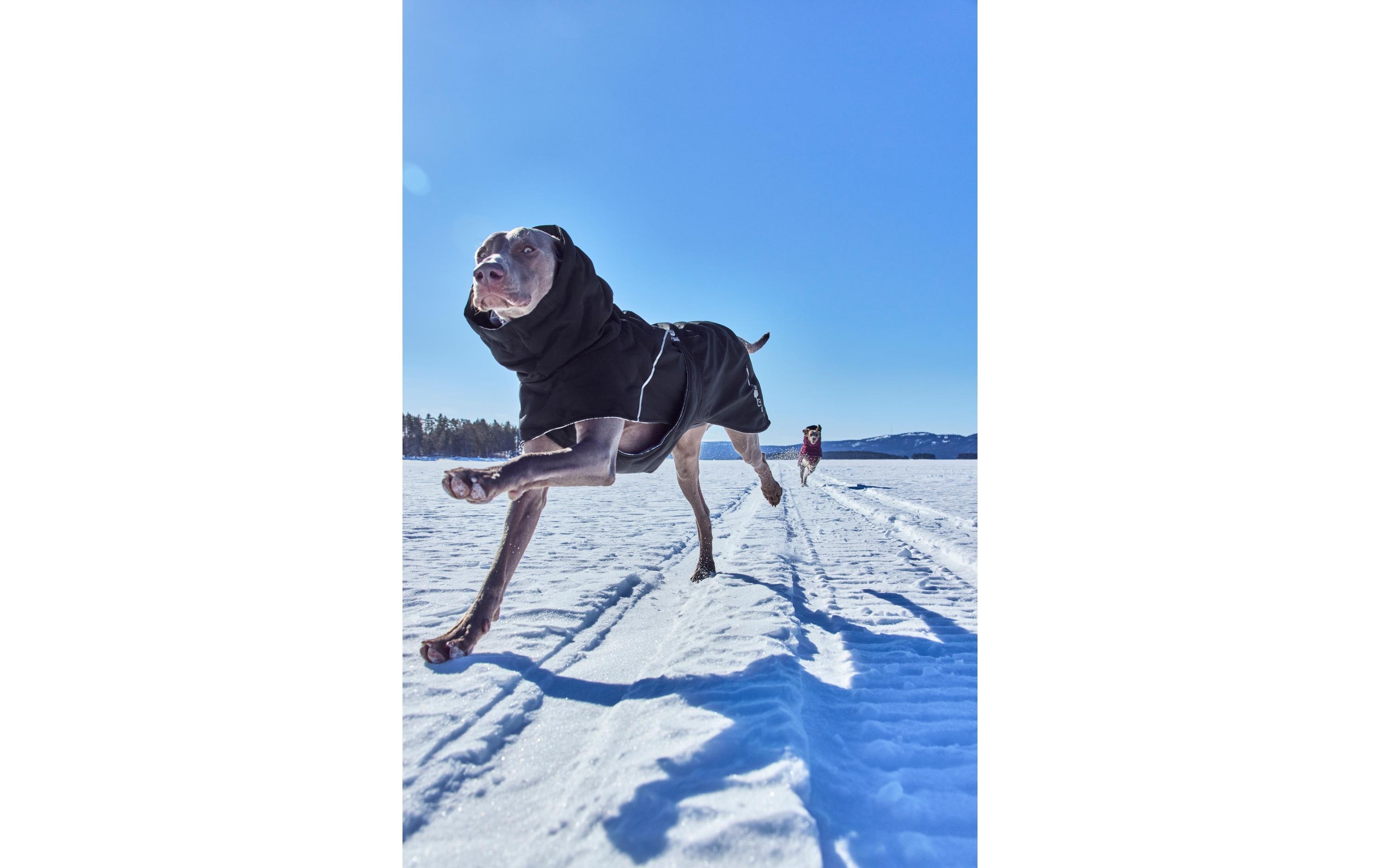 Extreme Warmer V3 Eco Schwarz, 45 cm<br>Winterjacke für Hunde