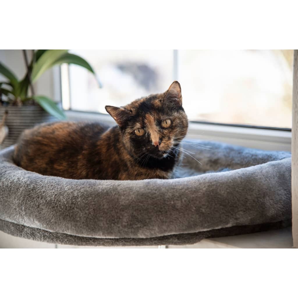 Cama para gato