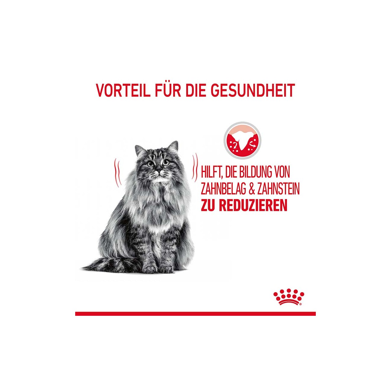 ROYAL CANIN Dental Care 400 g