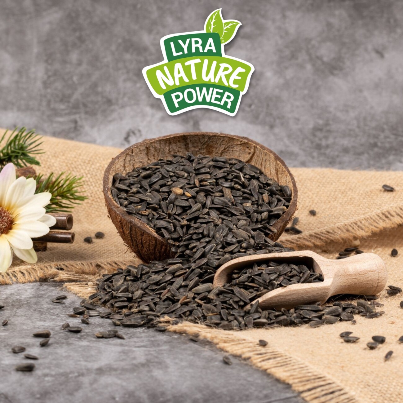 Lyra Pet Sonnenblumenkerne schwarz 10 kg