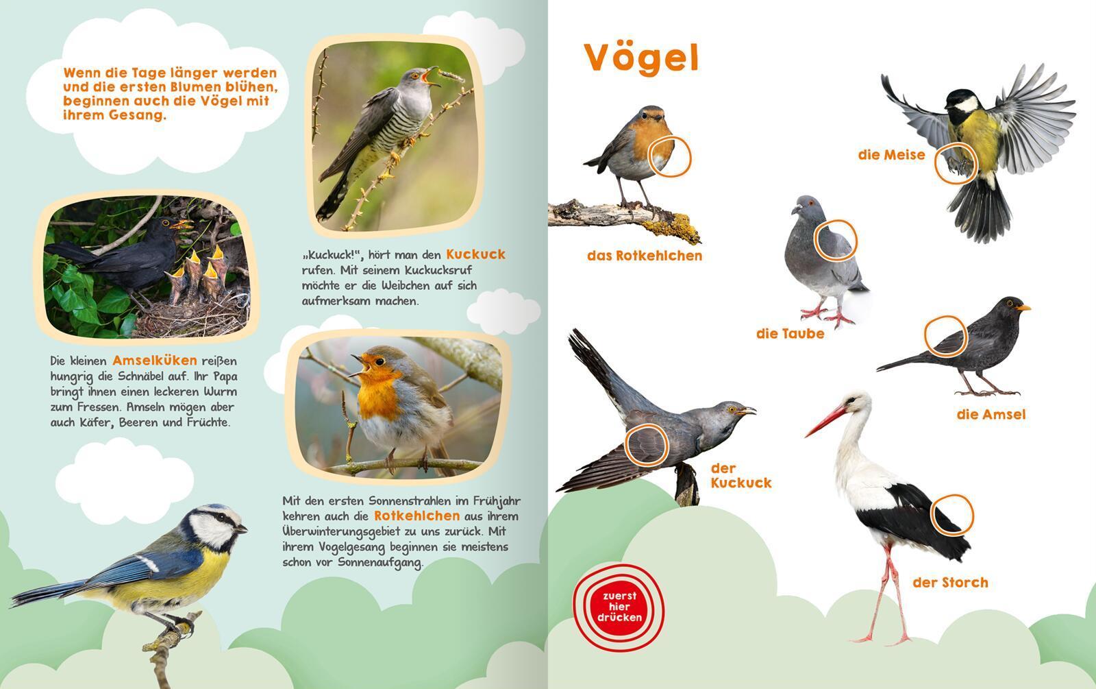 Mein großes Geräuschebuch - Frühling