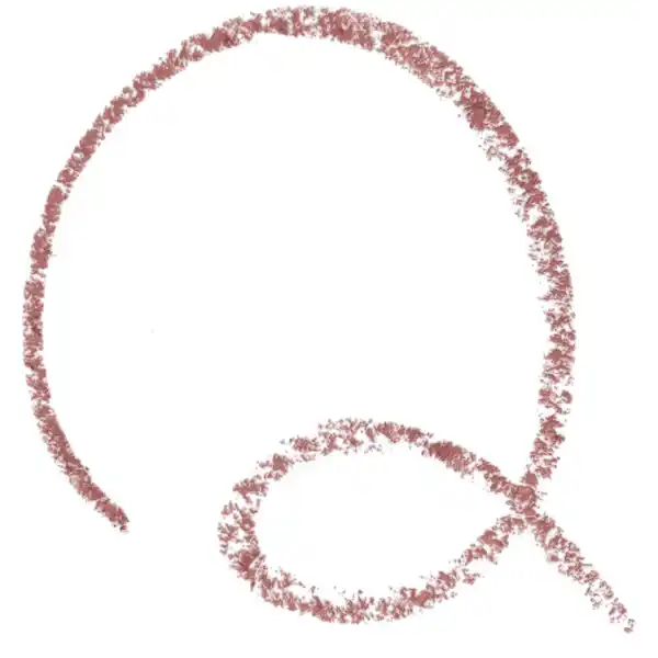 soft & precise LIP PENCIL 203