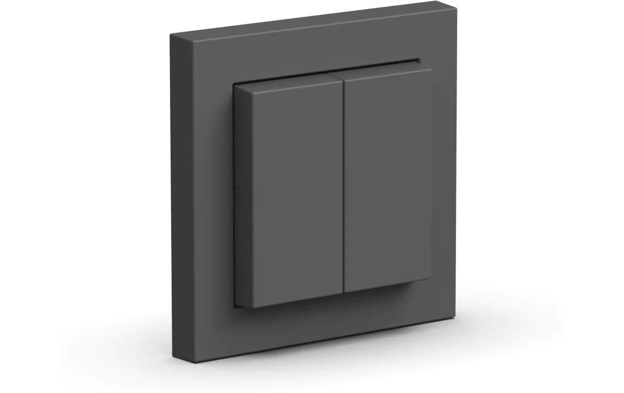 Friends of Hue Schalter AnthrazitSmarter Wandtaster