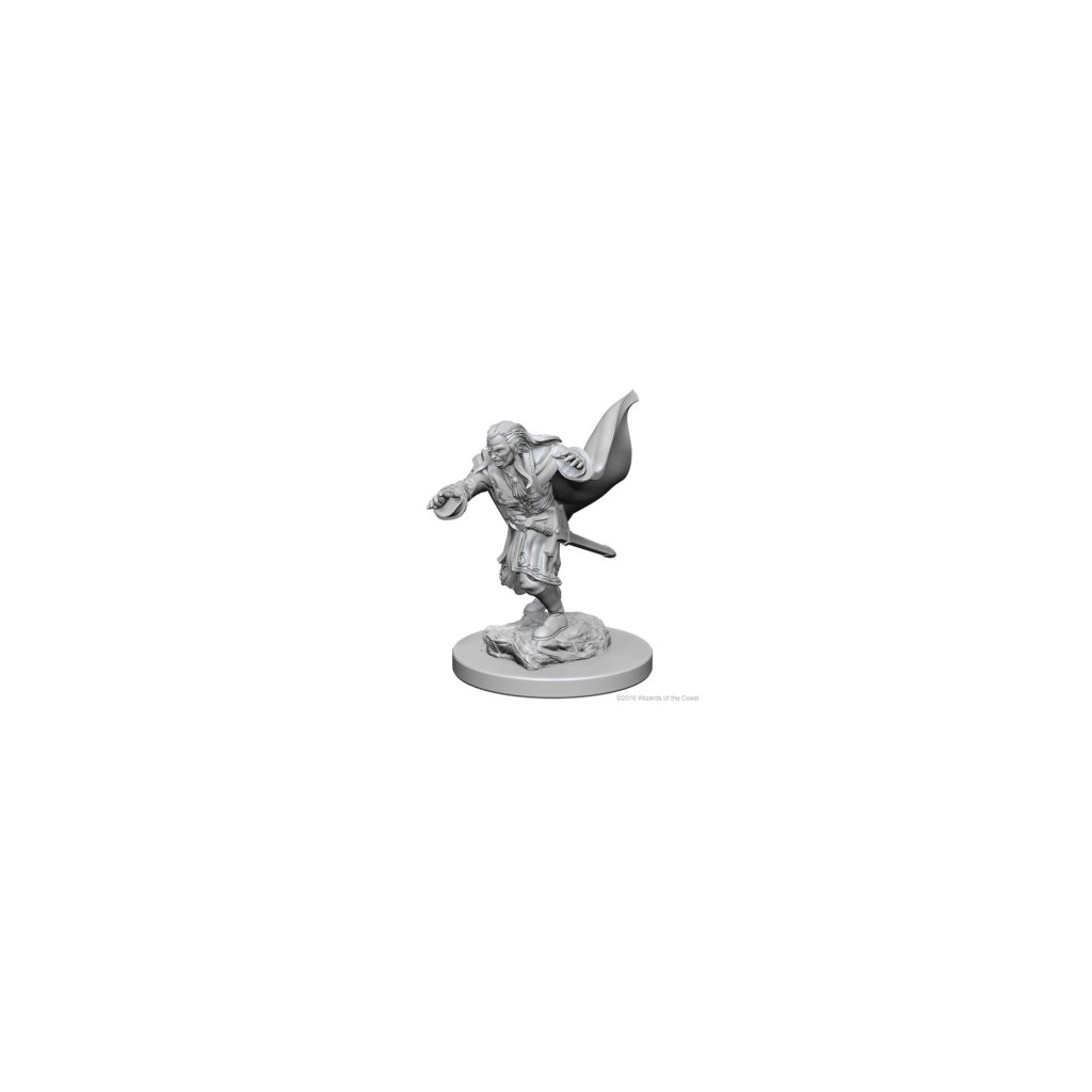 D&D Nolzur's Marvelous Unpainted Miniatures: Vampires