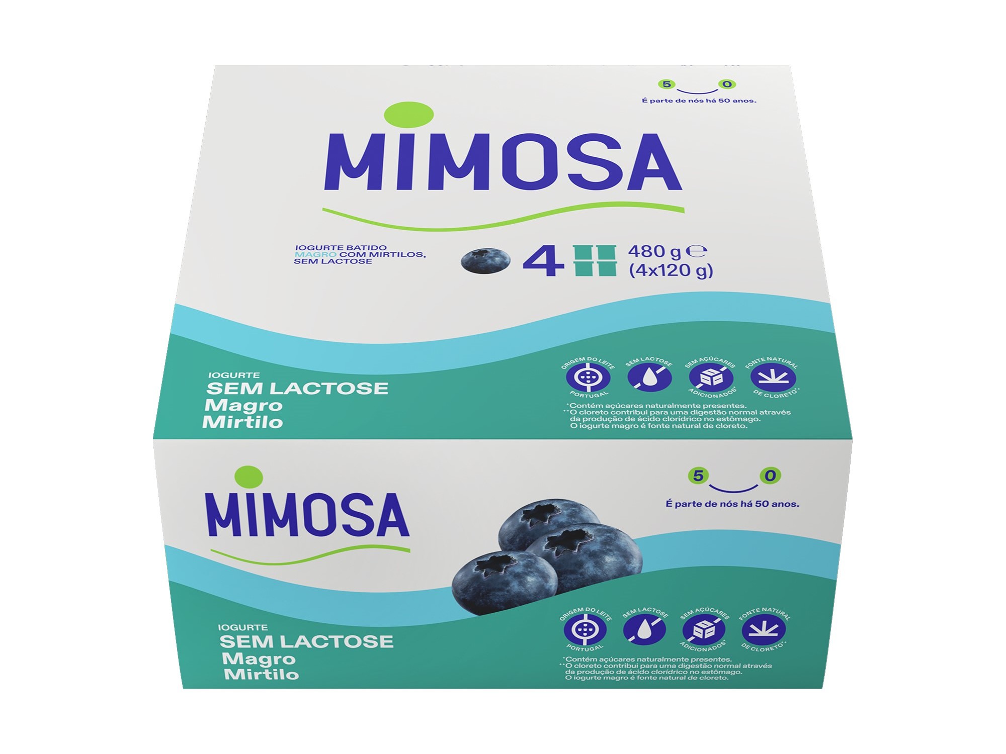 IOGURTE SEM LACTOSE MIMOSA MIRTILO 4X120G