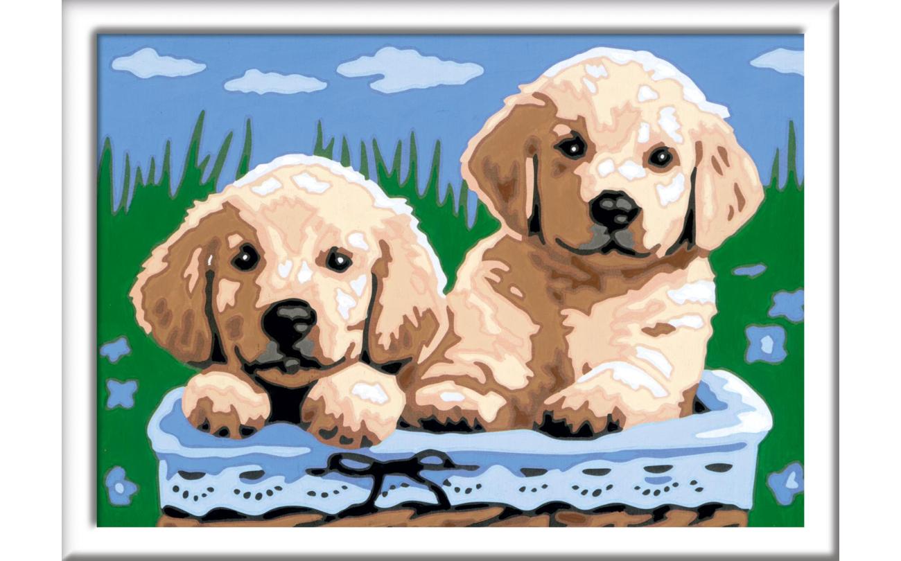 Cute Puppies