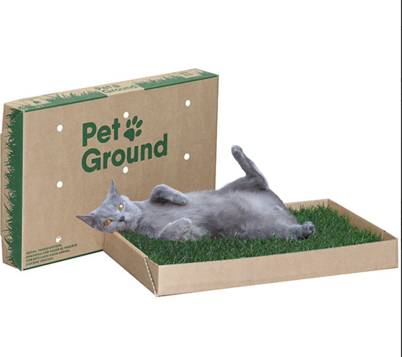 Petground, Caixa de Areia para Gatos, Cama de Grama Natural, Catnip, Tapete Aromático, Padrão