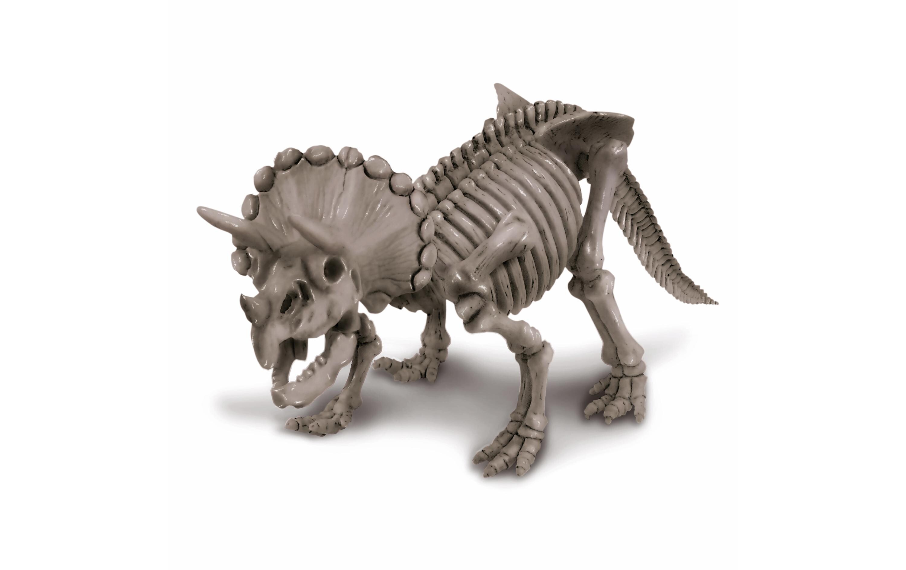 Experimentierkasten Dino Ausgrabungsset – TriceratopsEntdecken Sie die grössten Geheimnisse der Natur!