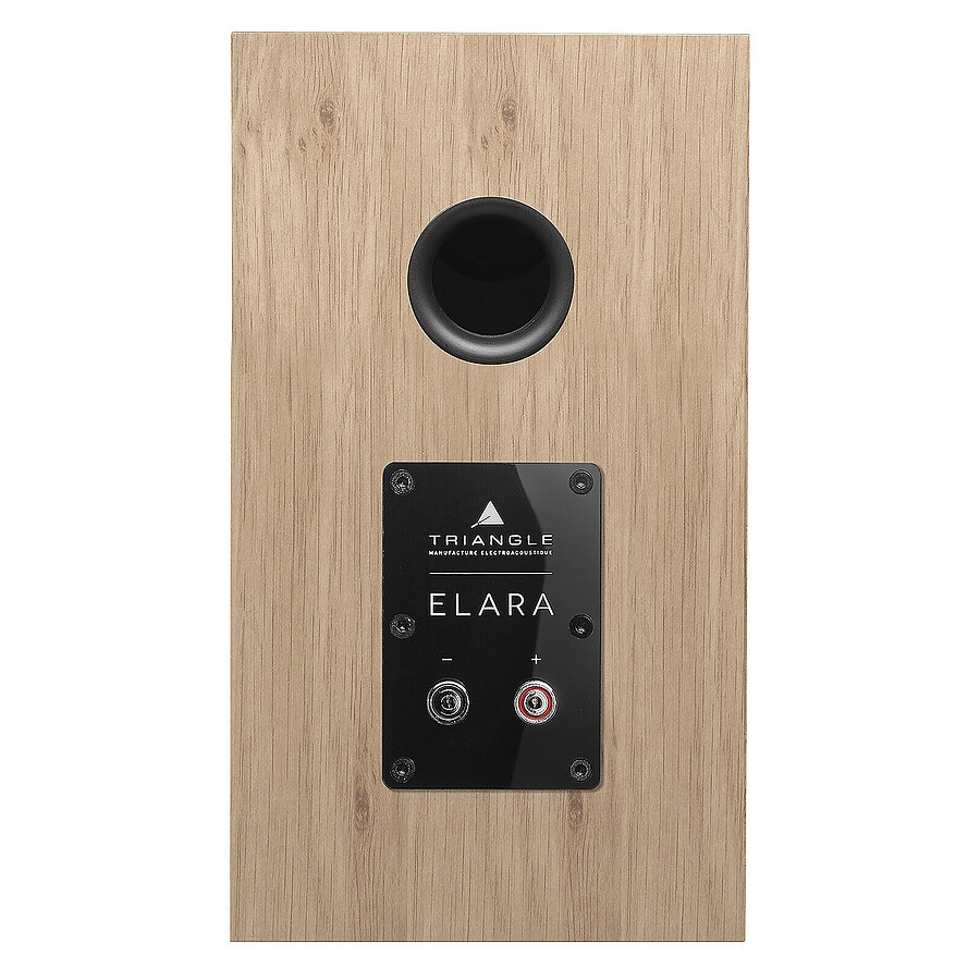 Denon RCD-N12DAB Noir + Triangle Elara LN01 Chêne Clair
