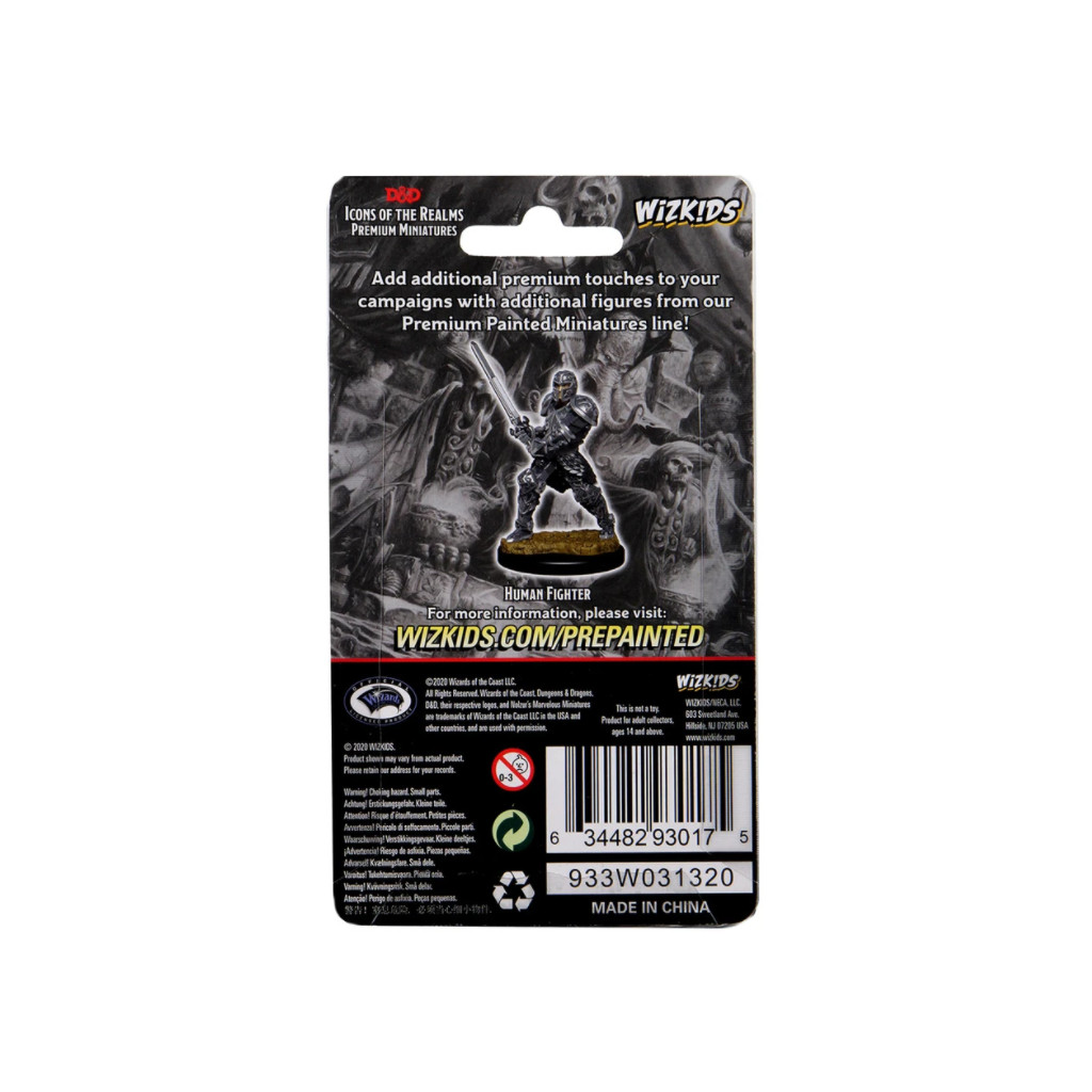 D&D Icons of the Realms Premium Figures - Male Human Fighter