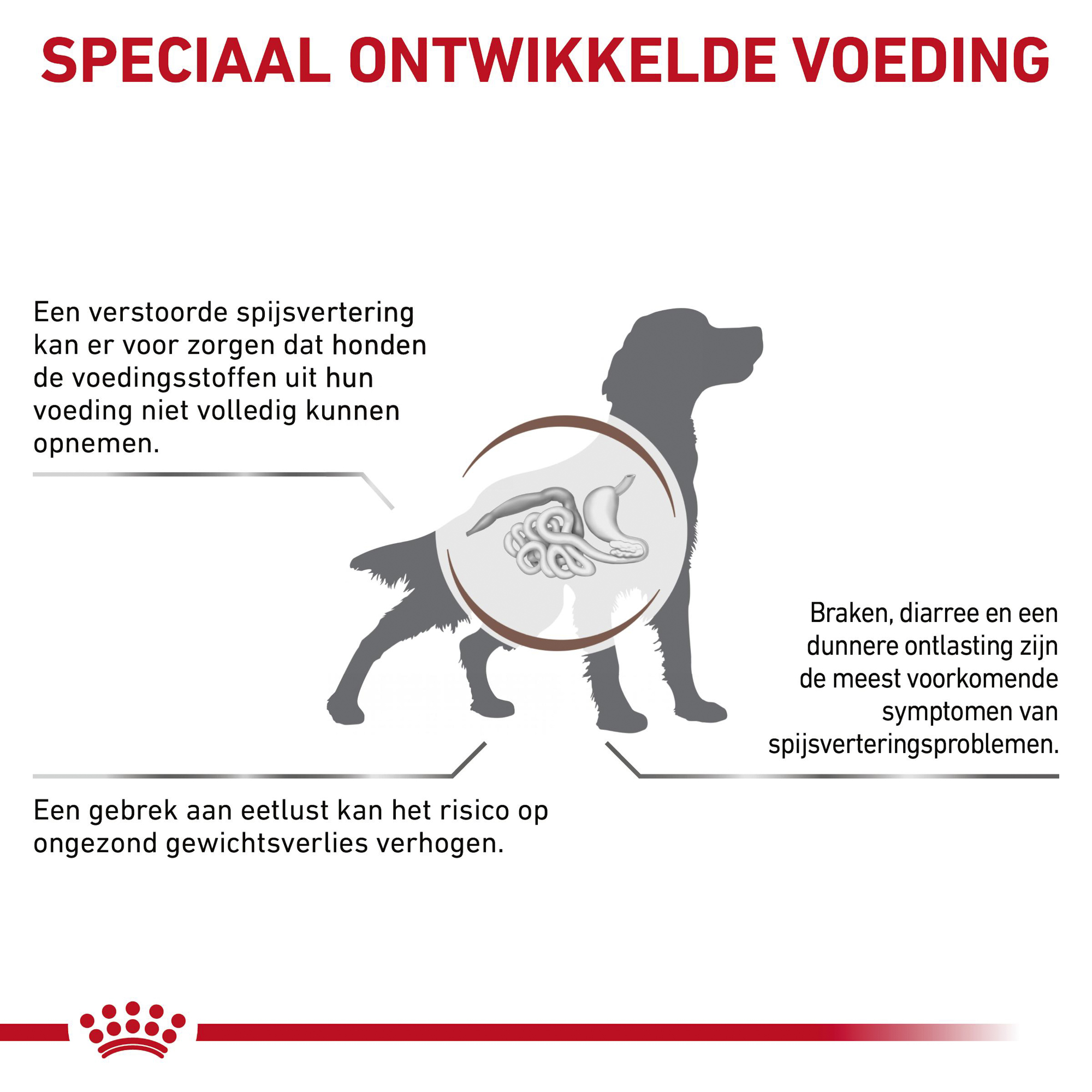 Royal Canin Gastrointestinal Hond