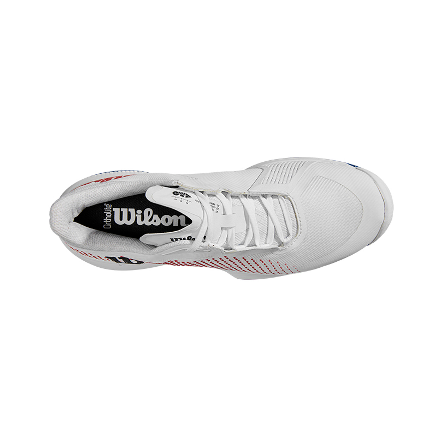 Wilson Kaos Swift 1.5 2024 Dames