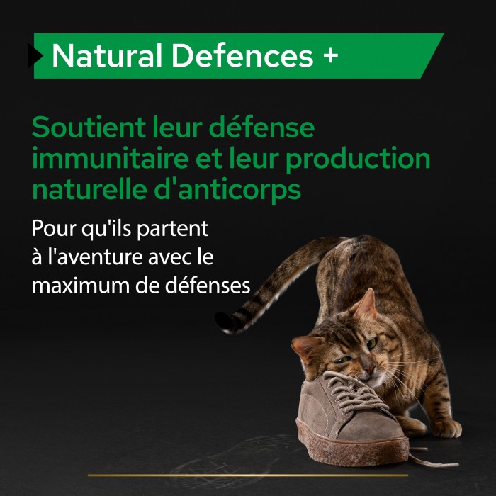 PRO PLAN Natural Defenses+ en poudre - Aliment complémentaire pour chat