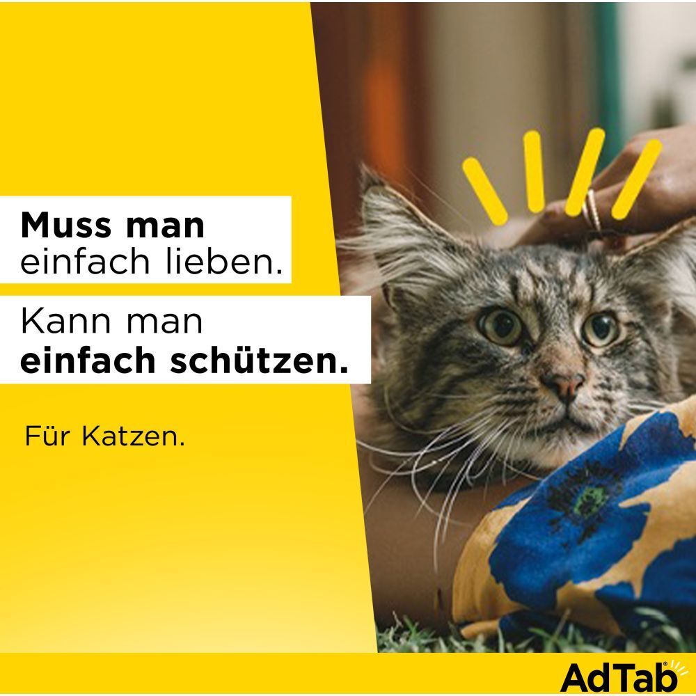 AdTab™ Katze über 2 bis 8 kg 48 mg