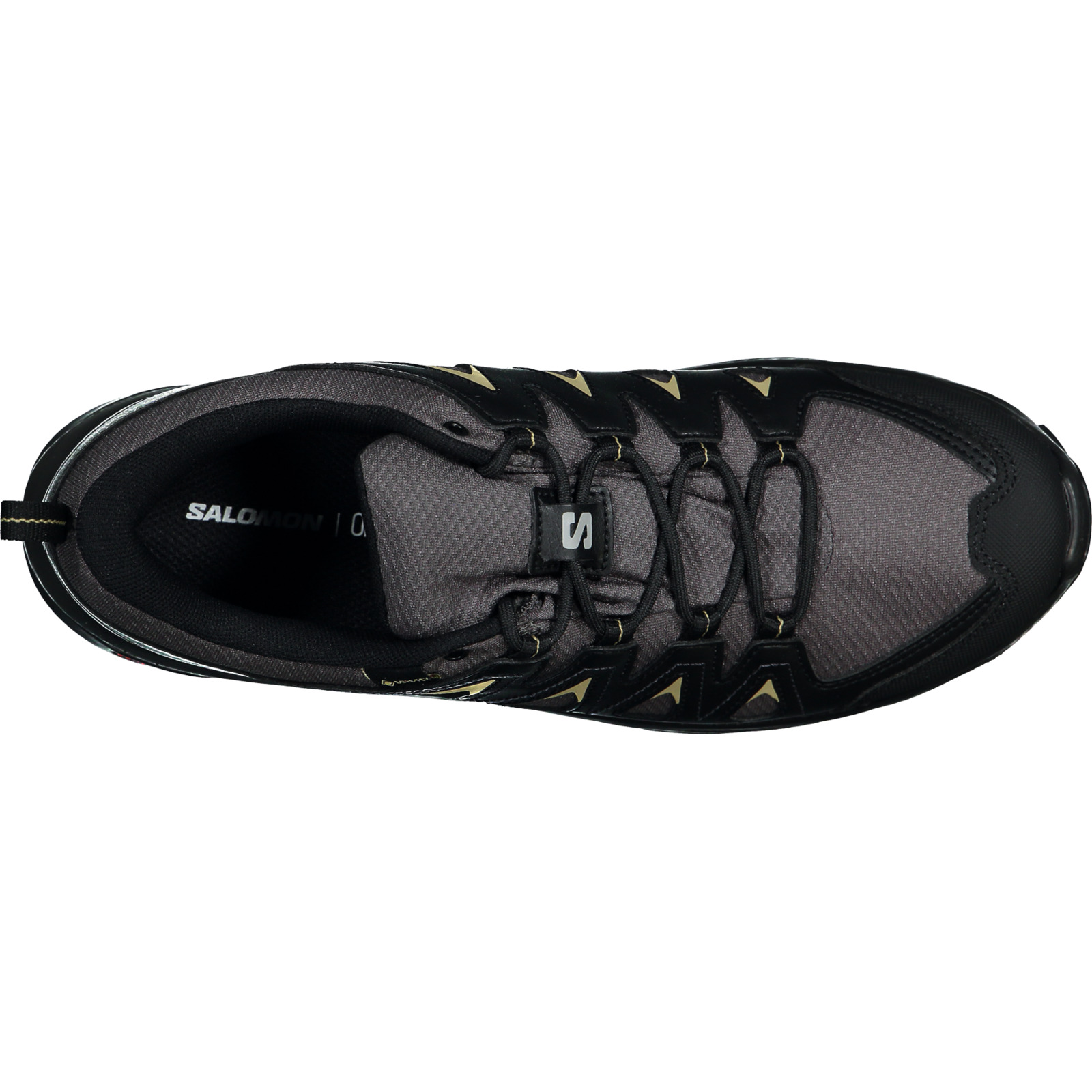 Salomon Herren-Trekkingschuh X Braze GTX 44 2/3