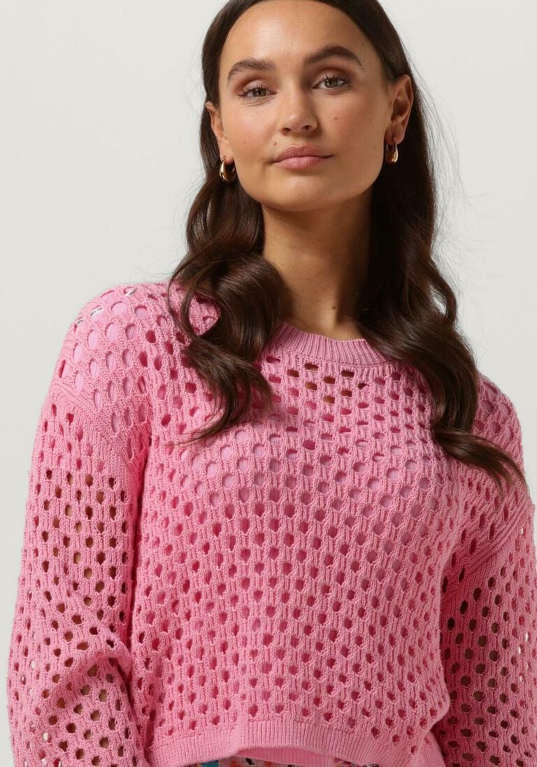 CATWALK JUNKIE roze catwalk junkie trui kn vibe