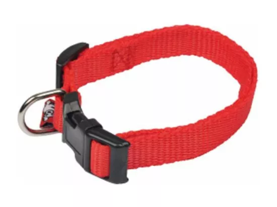 Collier Réglable pour Chien 