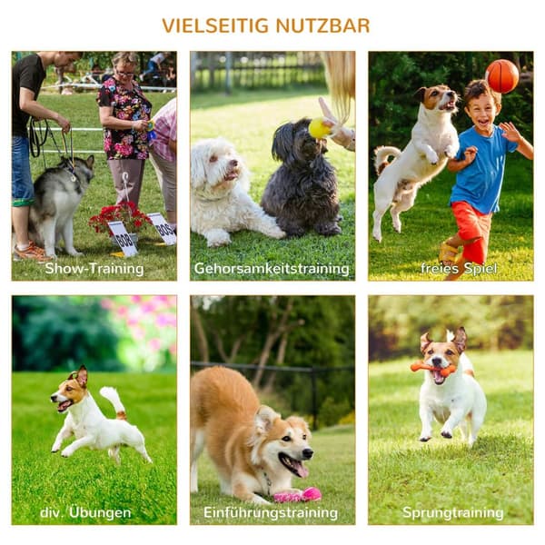 3-Delt Dog Agility Set Trening For Kjæledyr Hunde Treningssett Inkluderer Pose Lett Å Bære Plast Hvit + Gul