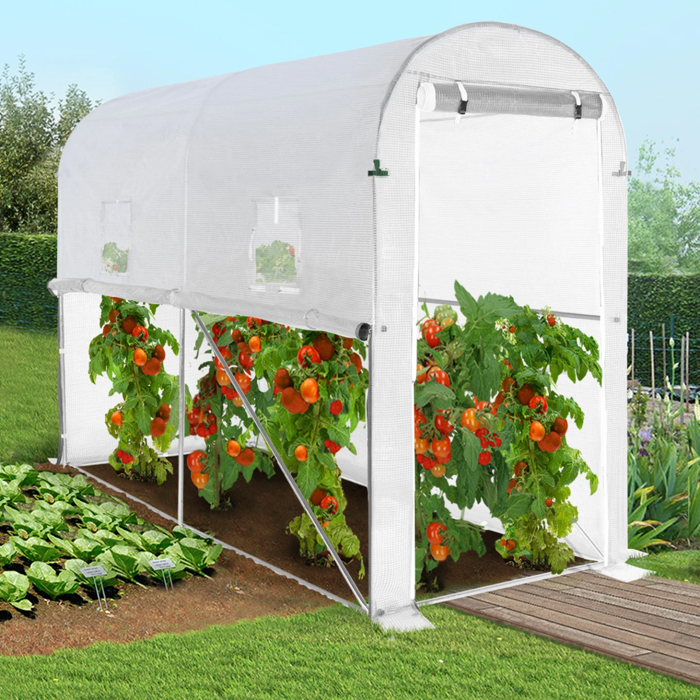 Serre à tomates relevable 3m² blanche 2 fenêtres avec moustiquaire et porte zippée
