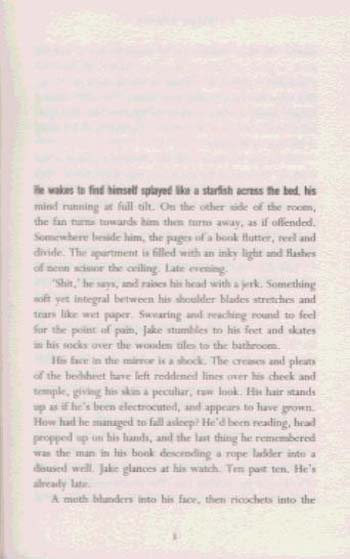 The Distance Between Us (Paperback)