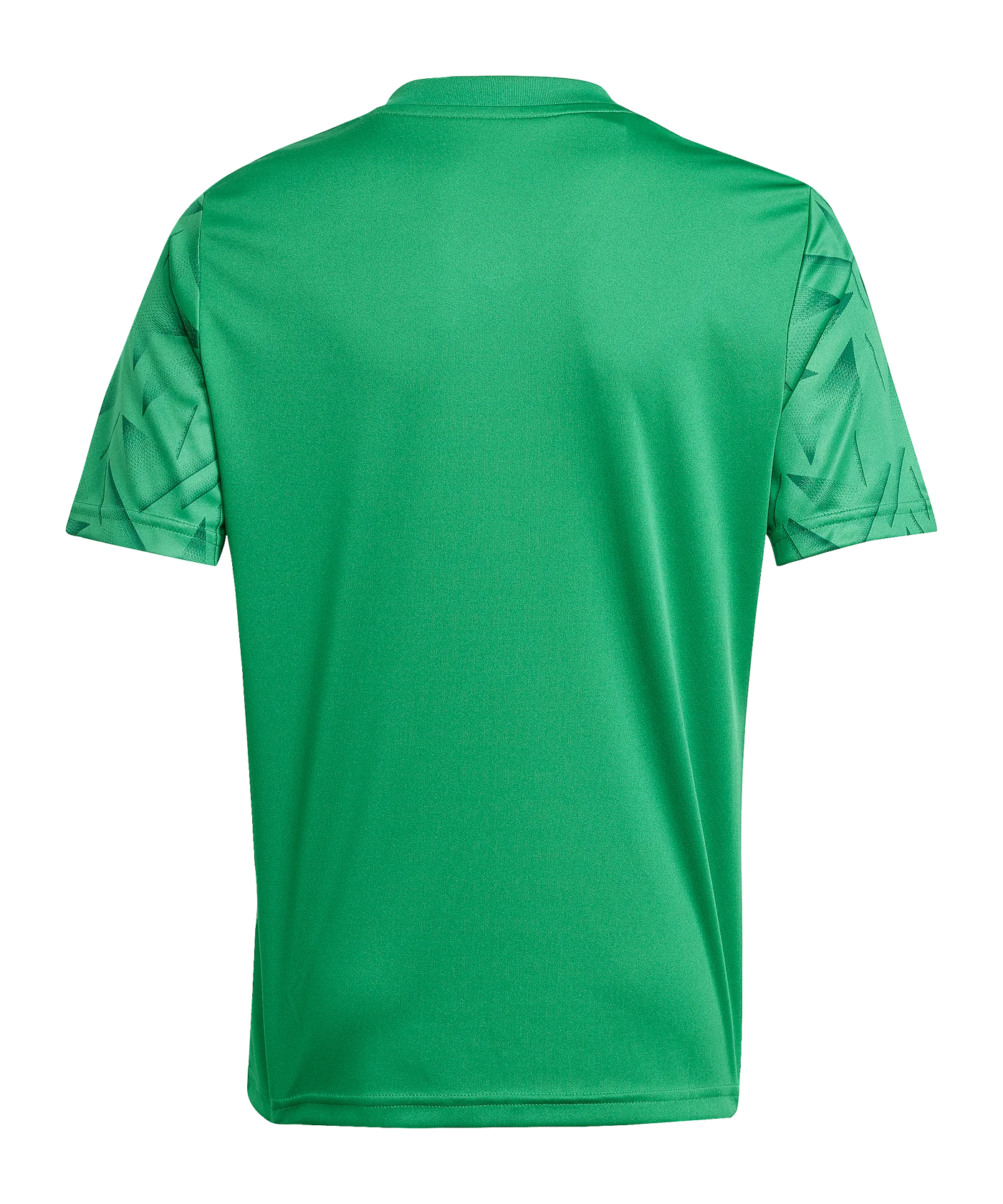 adidas Team Icon 25 Trikot Kids Grün