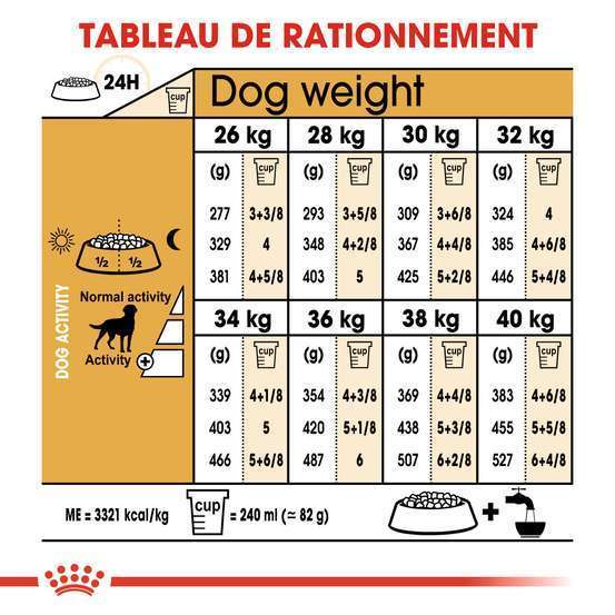 Croquettes chien Labrador Sterilised plus de 15 mois 12kg