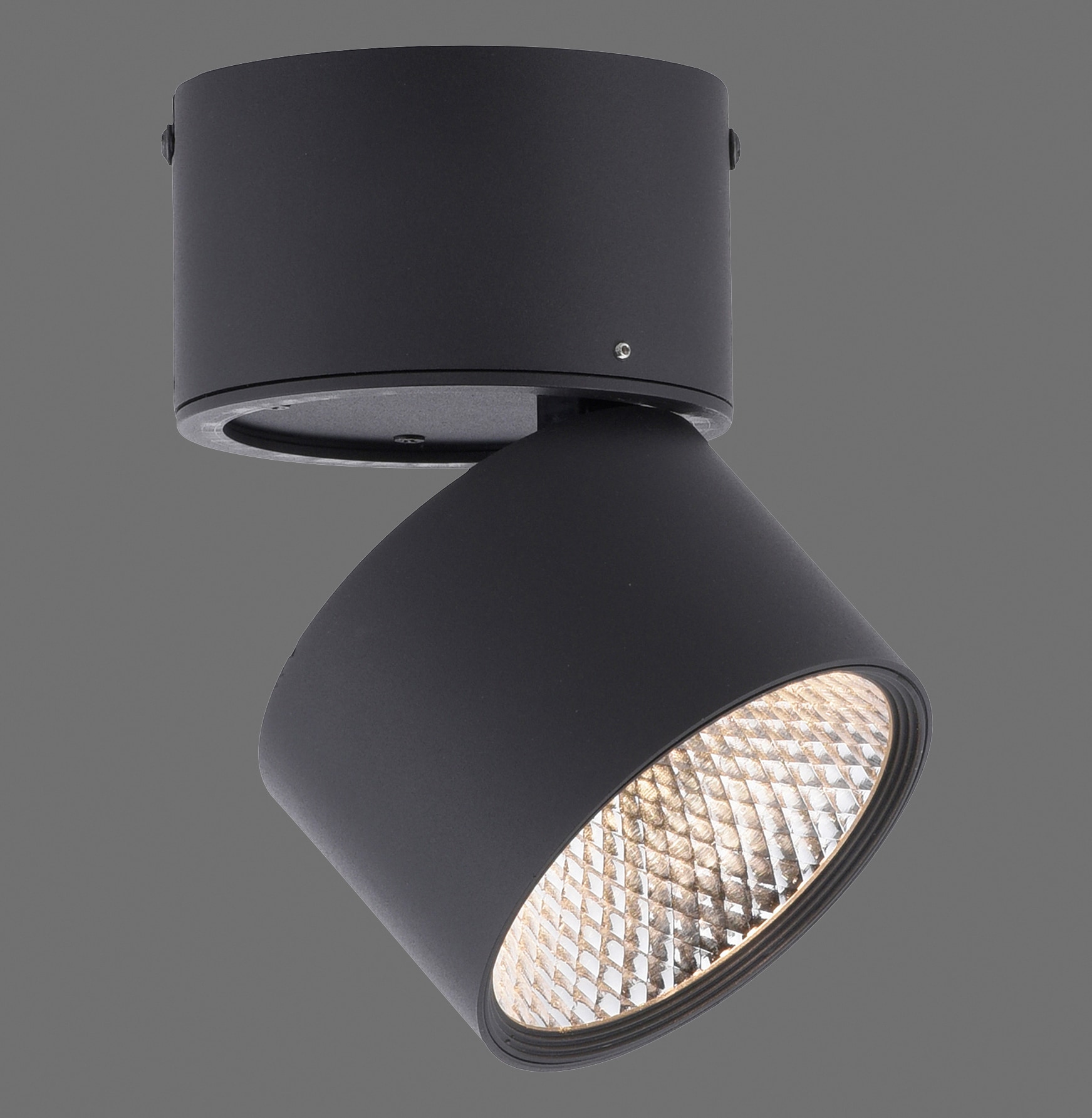 Paul Neuhaus LED Deckenlampe mit 1 Spots PURE-NOLA 15 cm schwarz