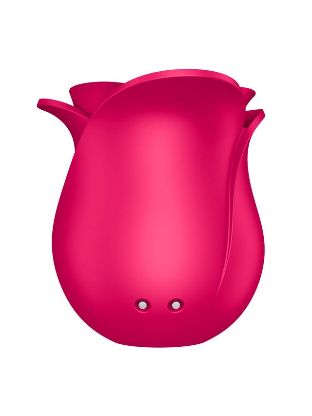 Satisfyer Pro 2 Set: Blossom + Bag