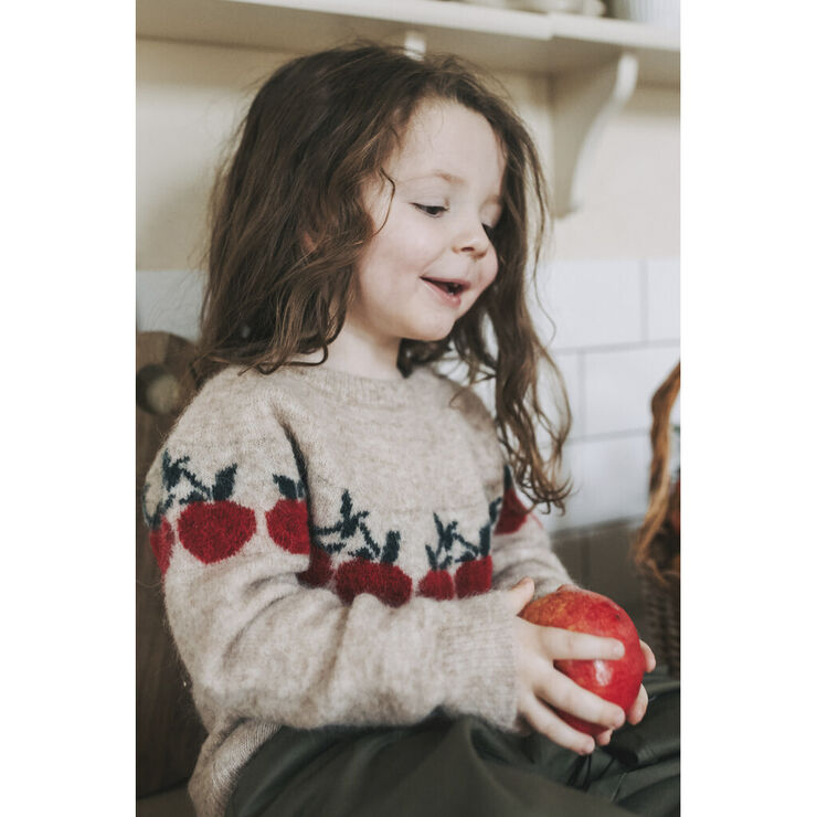 Fliink STAR APPLE PULLOVER Sandshell