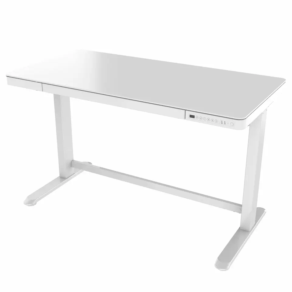 Elektrisch verstelbaar bureau / thuiswerkplek - 120x60 cm - Glas wit