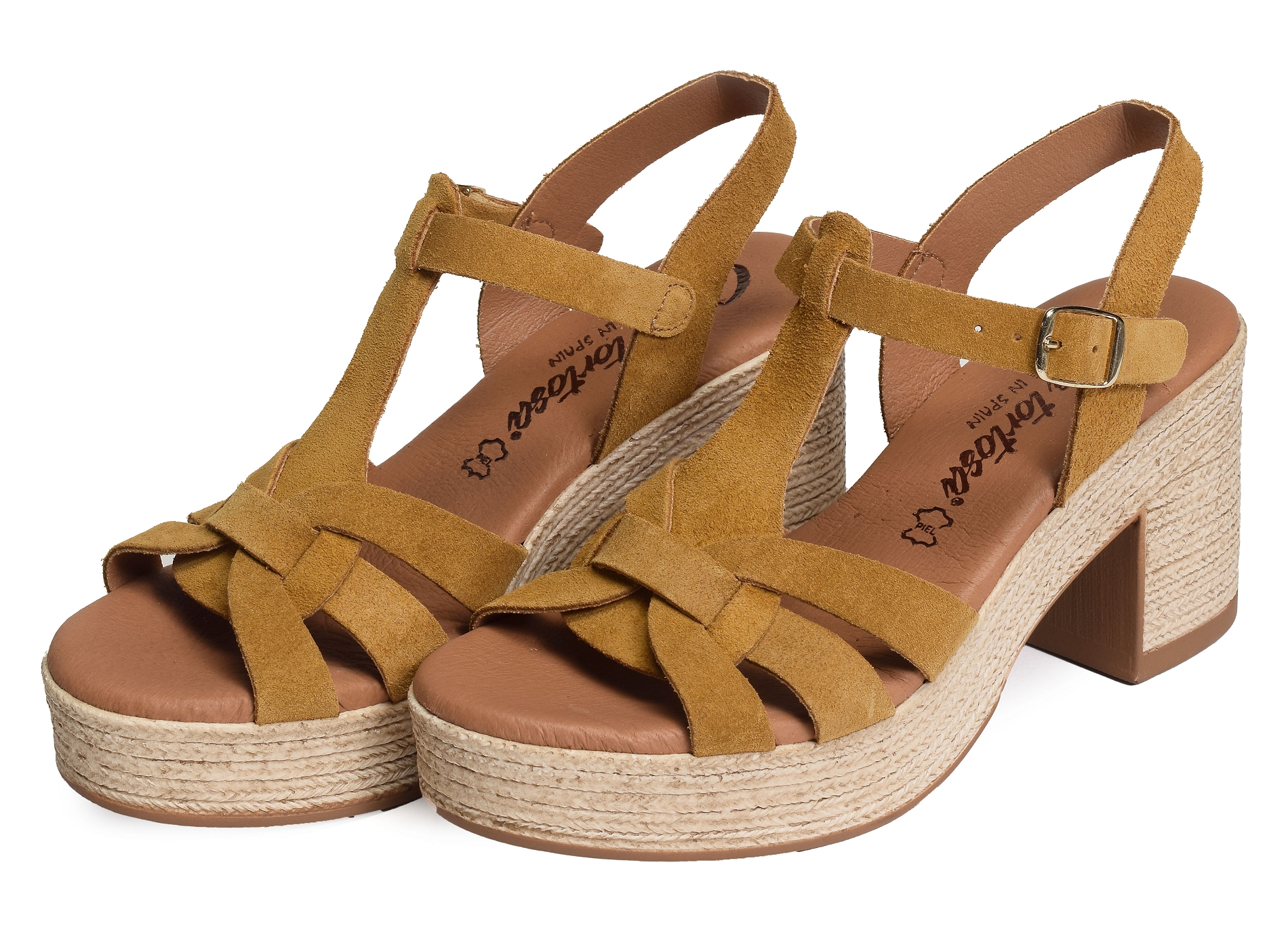 32403 camel