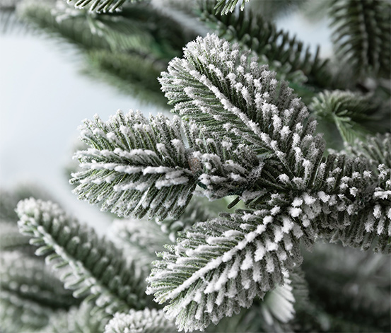 Evergreen LED-Tanne »Nobilis«, 150 cm