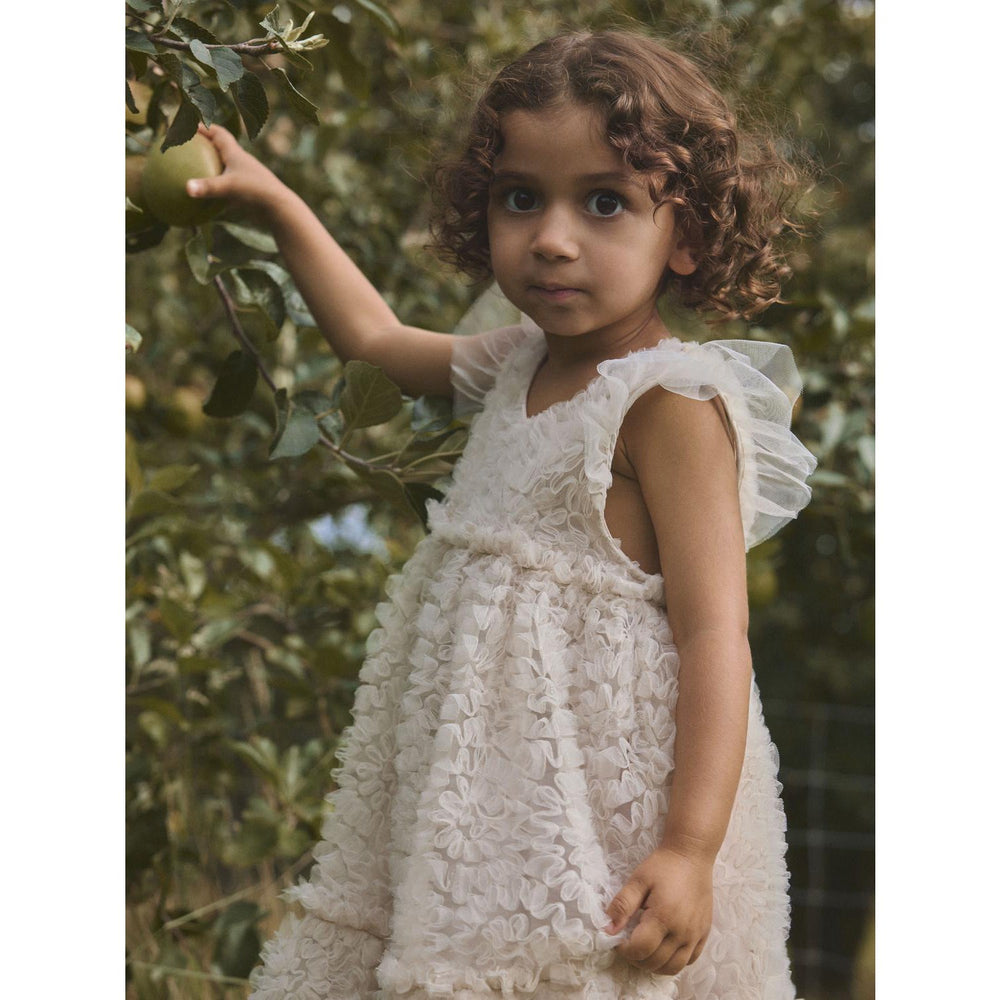 Køb Lil'Atelier Pumice Stone Nmffauna Capsl Tyl Kjole Lil